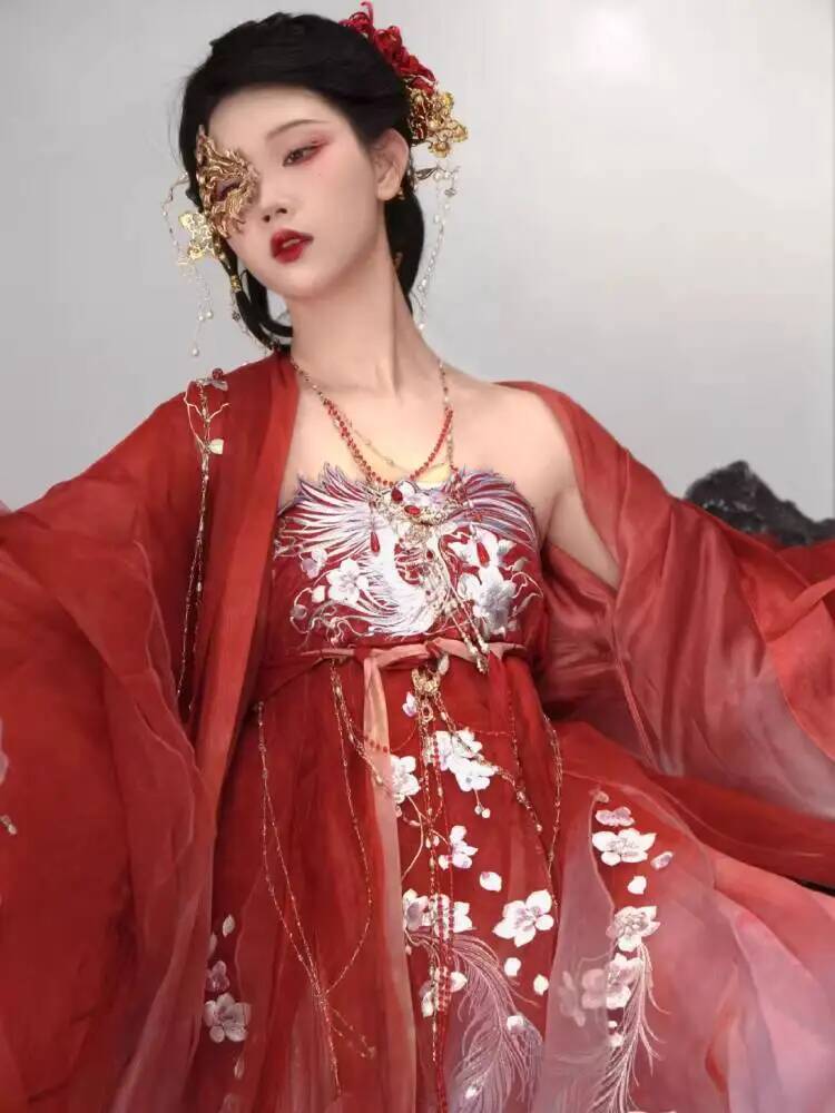 Kobiety w Hanfu, bogato haftow – Embroidery Dress recenzja i cena