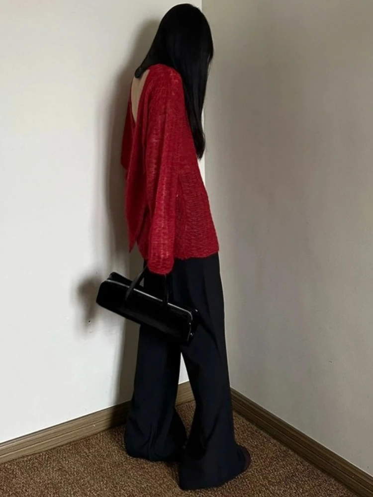 Przezroczysta dzianinowa koszu – Embroidery Tshirt recenzja i cena